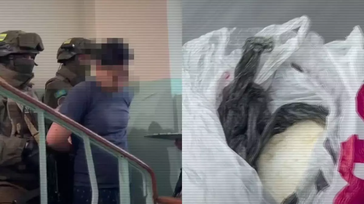 Есірткі таратқан интернет-дүкеннің қызметі тоқтатылды - ІІМ