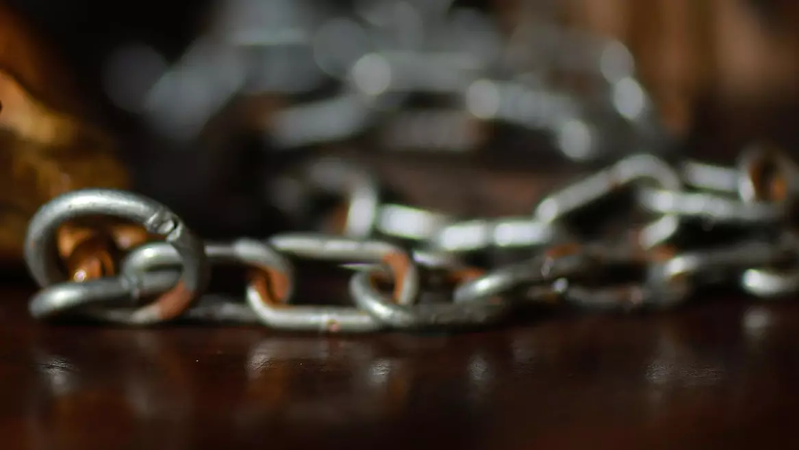 Алматыда итті көлікке шынжырмен байлап, өлімші етіп сүйреткен