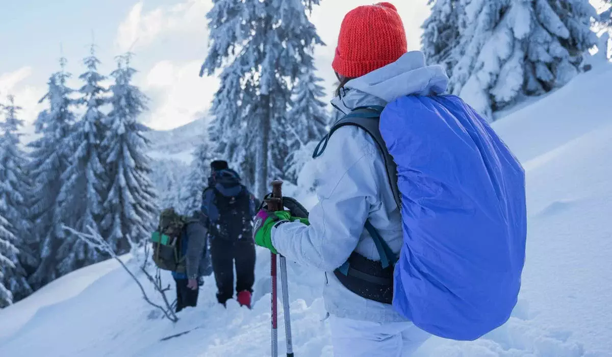 В ДЧС Алматы предупредили о лавинной опасности