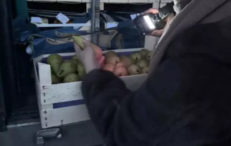 Больше 19 тонн груш сомнительного качества пытались ввезти в Казахстан из Бельгии