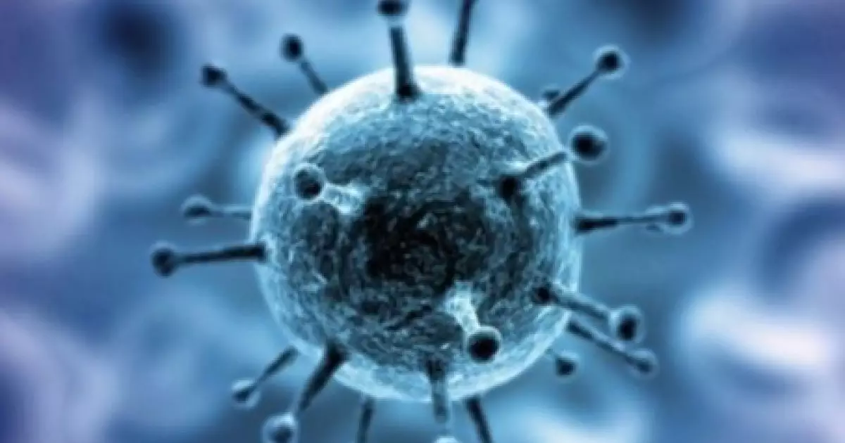  Короновирус қайта өрши ме? ДСМ 5 адамнан вирус анықтапты 