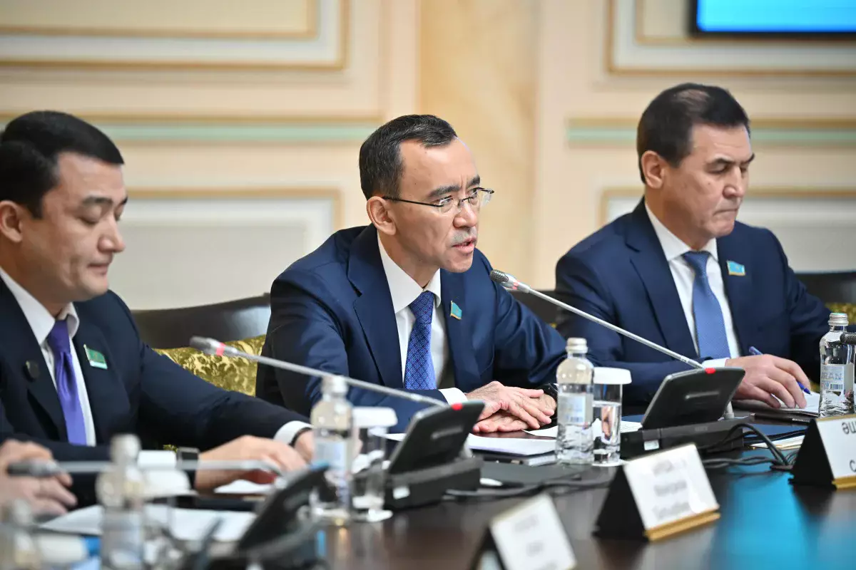 Маулен Ашимбаев: Референдум по Конституции - это важный шаг к демократизации политический системы