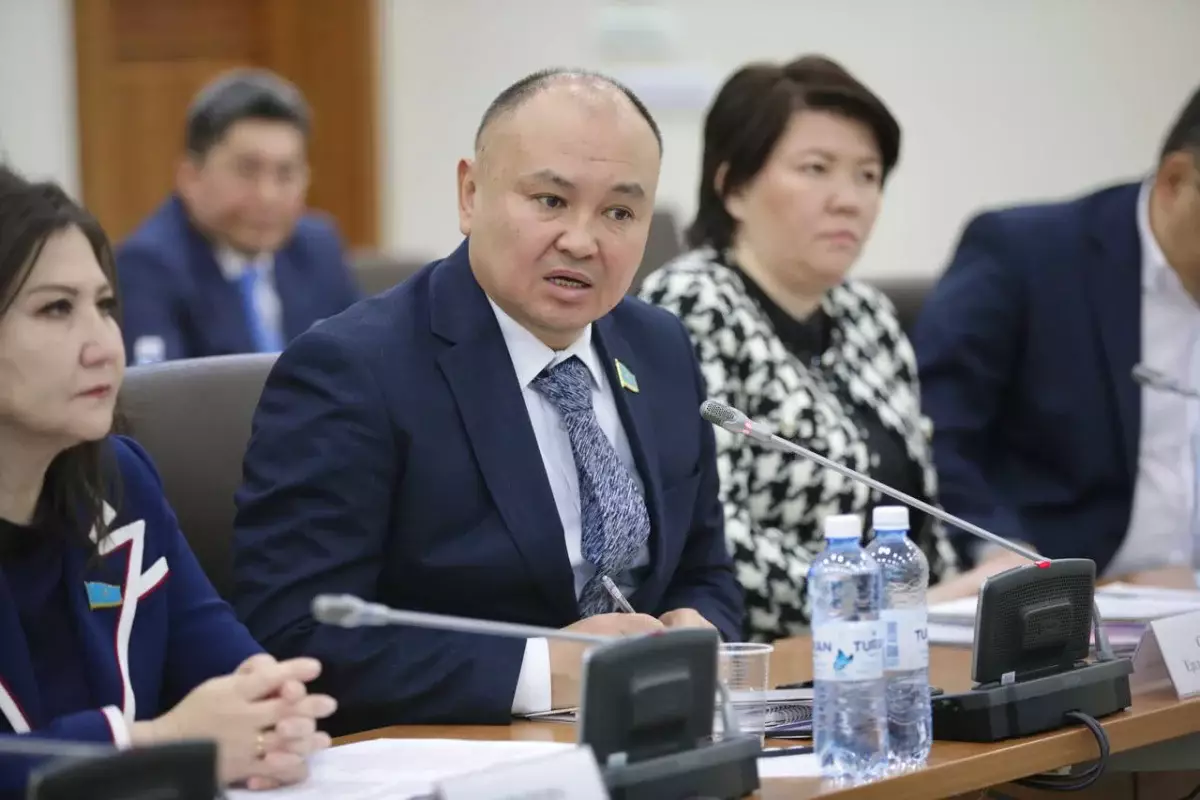 Жаңа Конституция жобасында мемлекеттің саяси тұрақтылығын қамтитын тетіктер қарастырылды - Ерлан Саиров