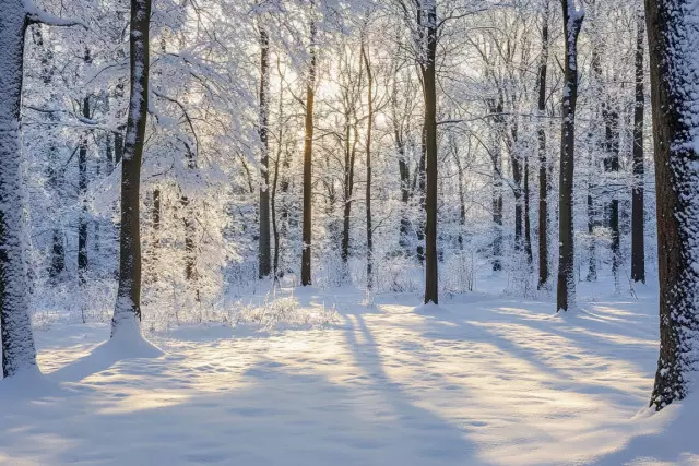 Демалыс күндері ауа райы қандай болады?