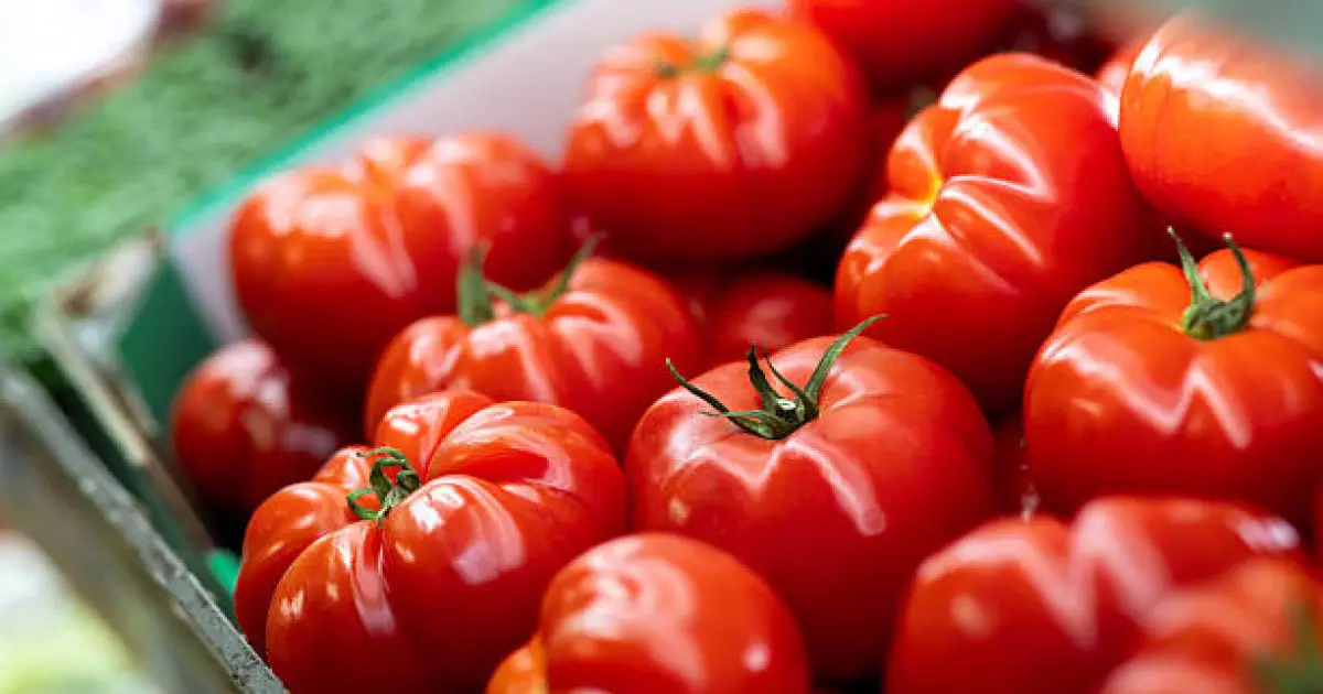  Қызанақтың беймәлім пайдасы анықталды 