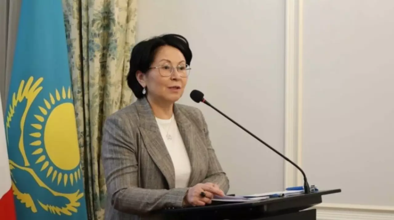 Проект новой Конституции Казахстана представили в Париже