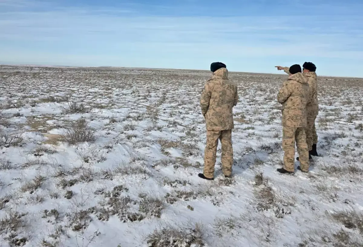 В Мангистау посчитали сайгаков - новости на Lada.kz 13.02.2026