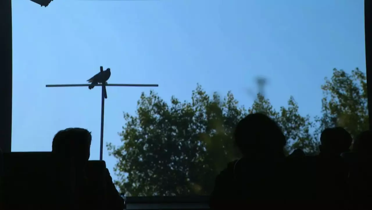 Студенттерге нашақорлыққа қарсы деректі фильм көрсетілді