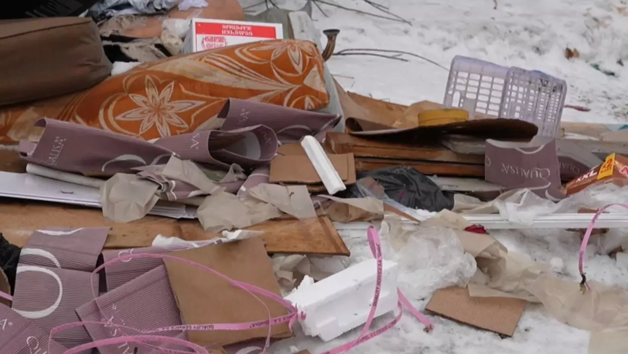 Павлодар көшелеріндегі тазалық сын көтермейді