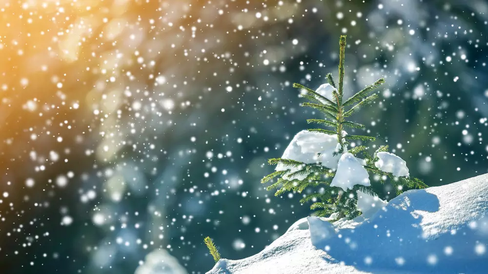 Какой будет погода в Казахстане в субботу, 14 февраля: прогноз