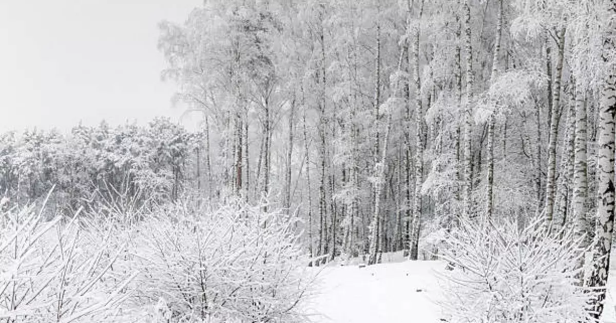   Қазақстанда алдағы күндері ауа райы құбылмалы болады   