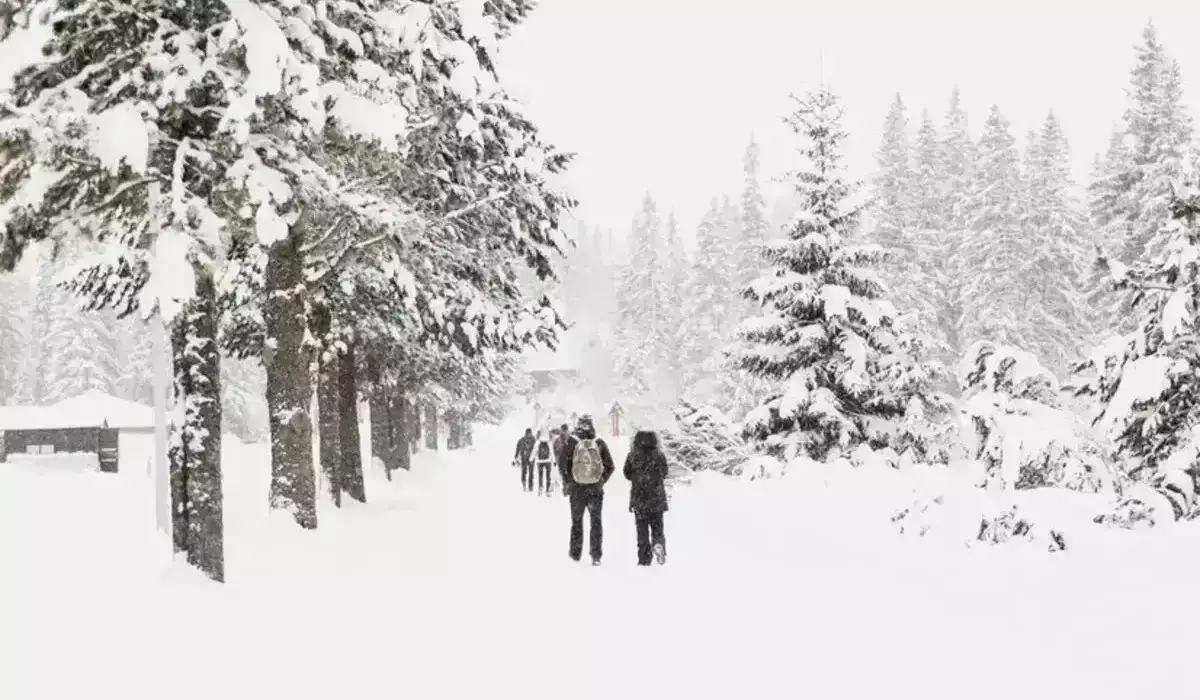 Қалың қар жауып, күн суытады: 15 ақпанға арналған ауа райы болжамы