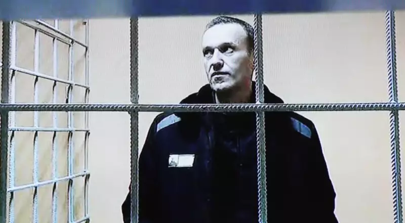 Европейские страны заявили об отравлении Навального в колонии