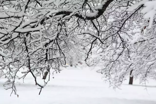 15 ақпан қалың қар жауып, күн суытады