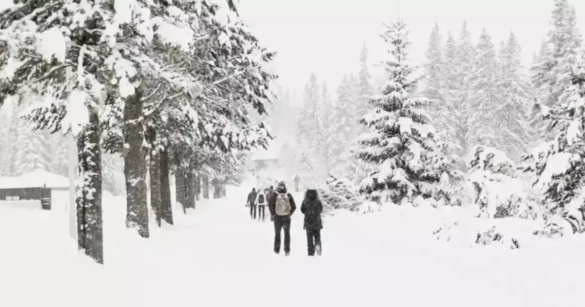  15 ақпанға арналған ауа райы болжамы жарияланды 