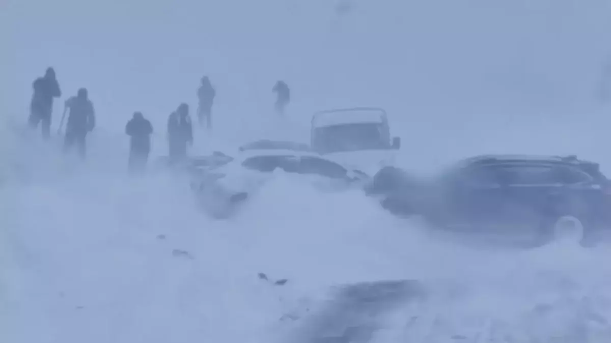 Ірі жол апаты: «Үшарал – Достық»: автожолында 5 көлік соқтығысты