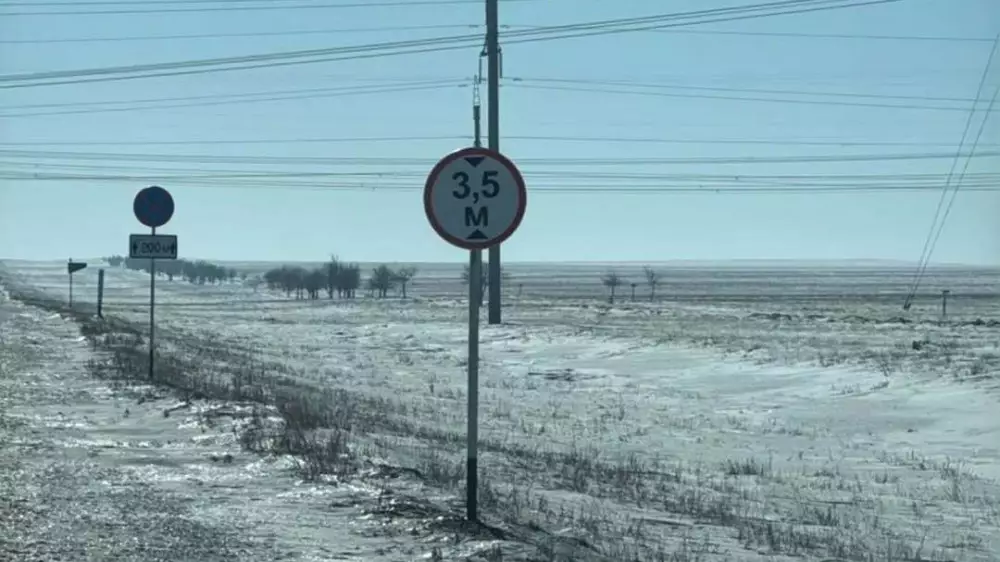 20 кошек и котят вывезли в степь и оставили умирать в области Абай