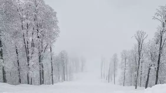 "Қар, көктайғақ, тұман". Жексенбі күні 14 өңірде дауылды ескерту жарияланды