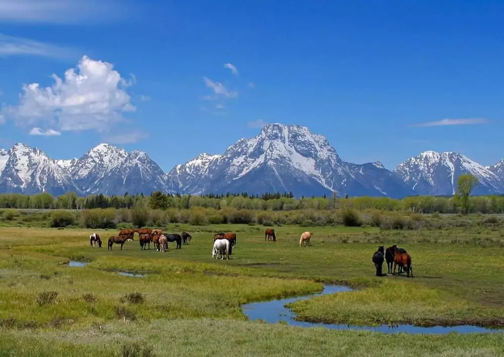 Власти Казахстана возвращают земли в государственную собственность, но всегда ли это оптимально?