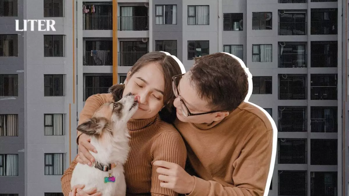 Домашние животные в многоэтажках: что важно знать хозяевам