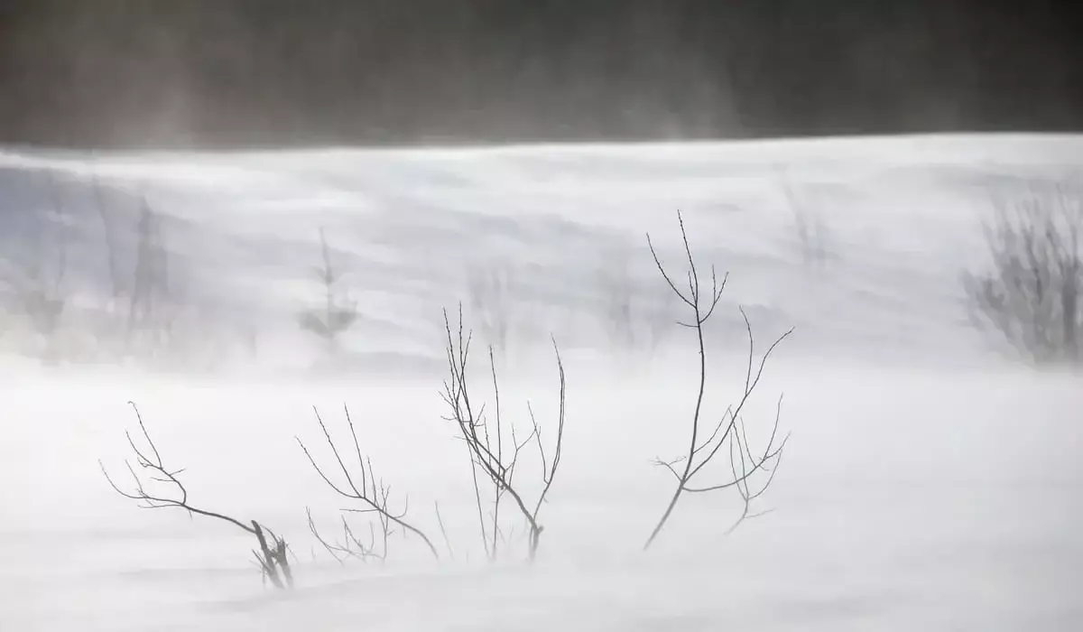 Заблудившегося пастуха нашли за 25 км от дома в Жамбылской области