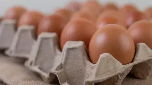 Жұмыртқаны қымбаттатқандар жазаланды