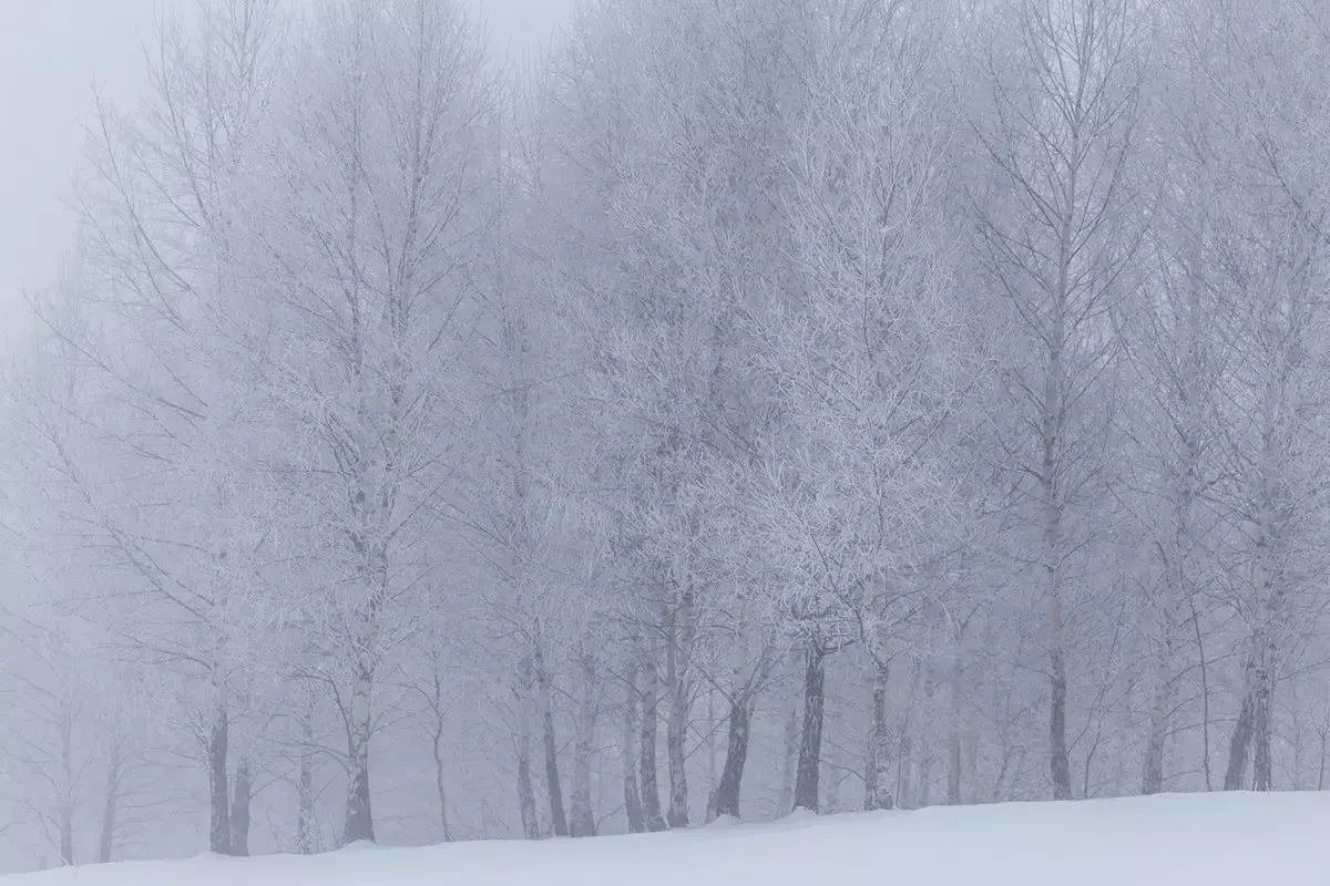 Далада бағытынан жаңылғандар аман табылды: Павлодарда 3 ауыл тұрғыны құтқарылды