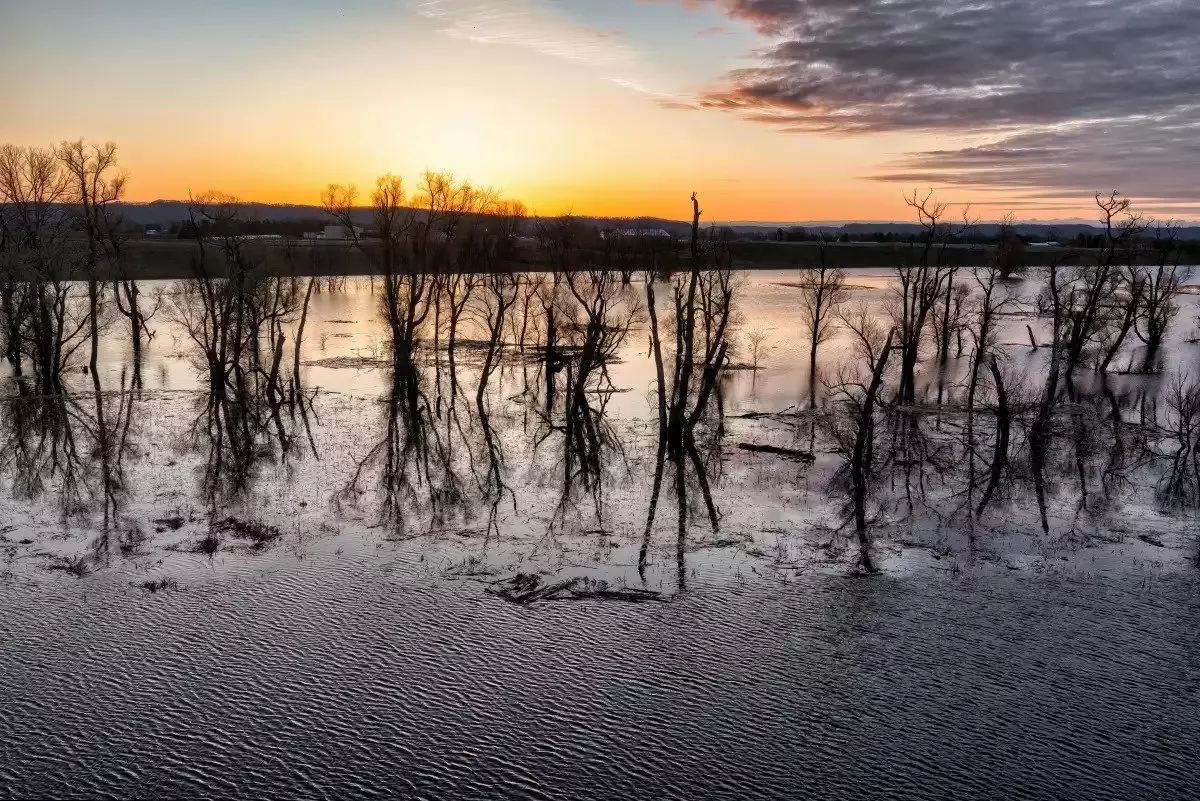 Су тасқыны қаупі: Жамбыл облысына әскери қызметшілер жіберілді
