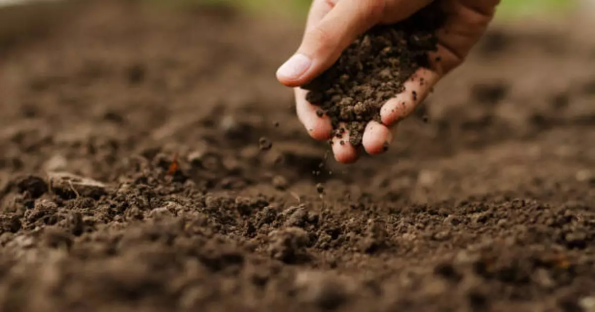   Жері көп шаруаларға мал шаруашылығымен айналысу міндеттеледі   