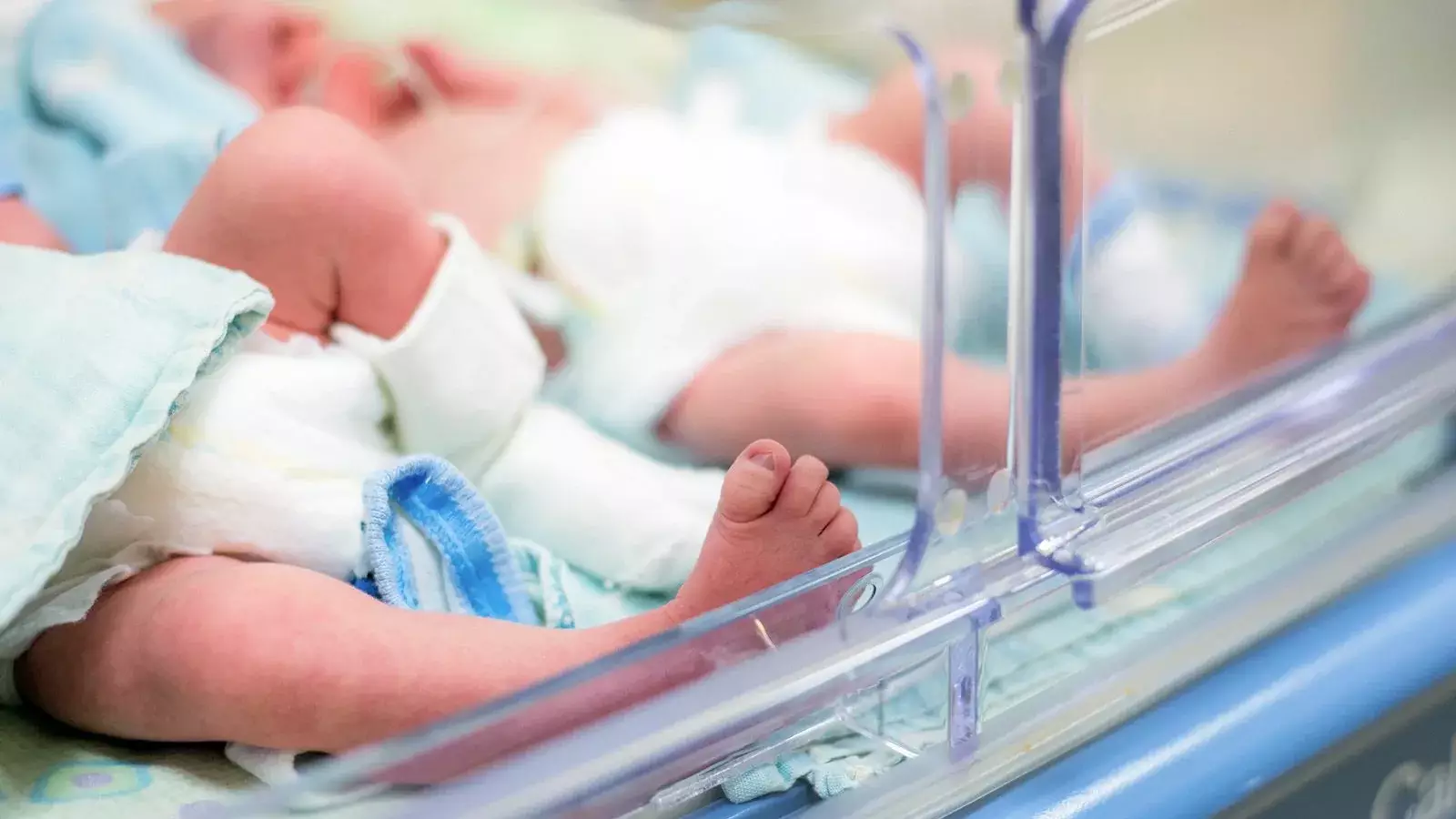 “Ұлына Кенесары деп ат қойғандарға 400 мың теңге беріледі” - Белгілі журналист маңызды бастама көтерді