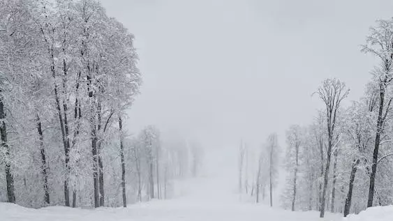Дүйсенбіде бірнеше өңірде ауа райына байланысты ескерту жасалды