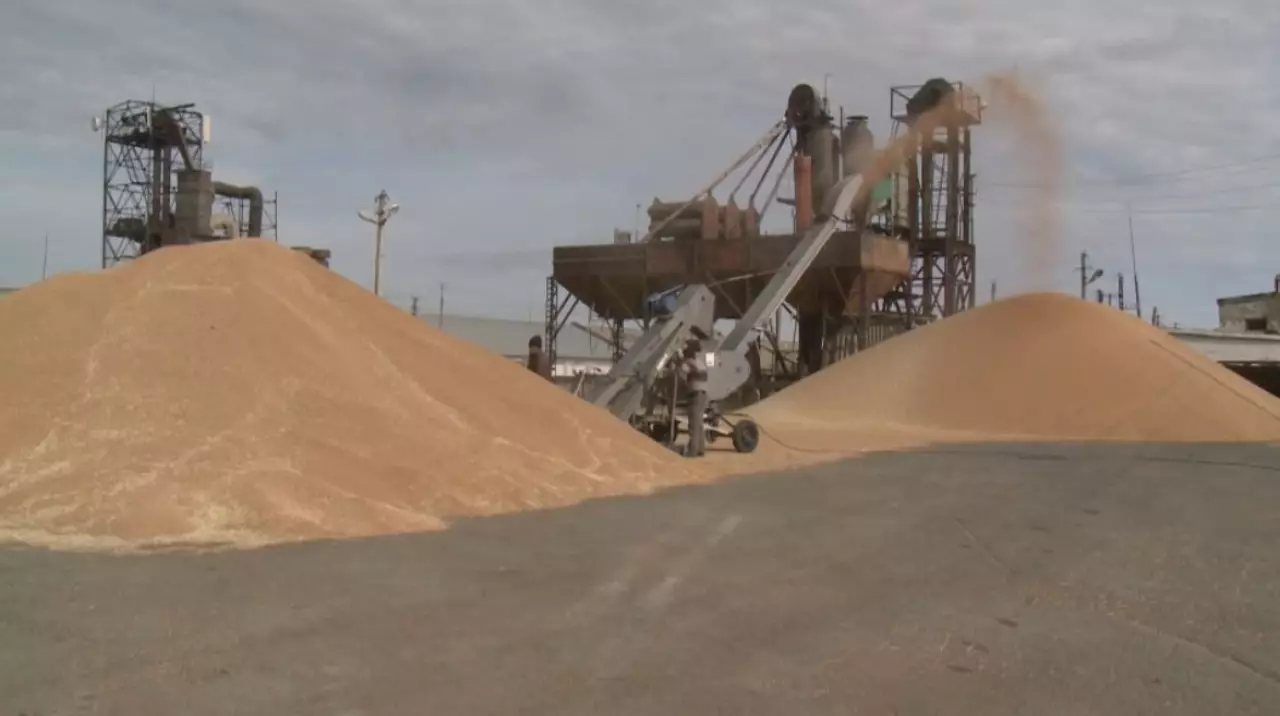 Диқандардың табысы артты