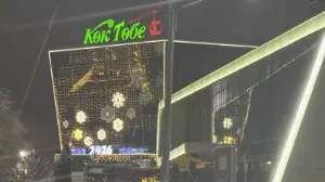 Алматыда экология талаптарын бақылауға дрондар қолданылуы мүмкін