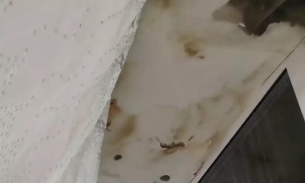 Везде плесень: в сети появилось видео из детской больницы Темиртау