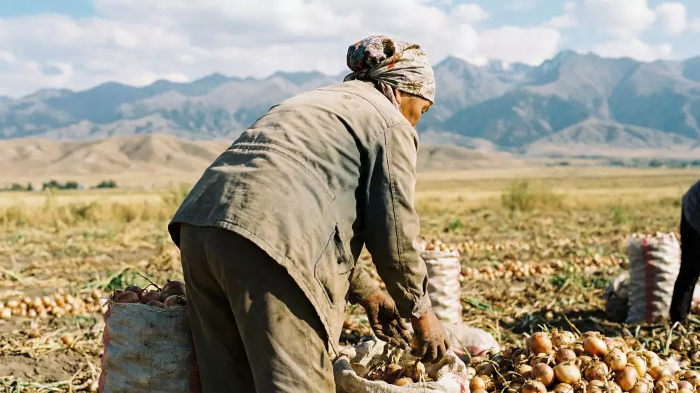 Жамбыл облысында “өлдіге балап, жерленген“ әйел бір айдан соң үйіне оралды