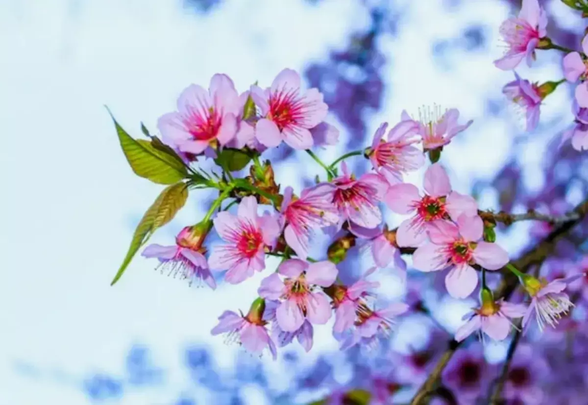 Весна 2026 года раздает миллионы: пять знаков зодиака в числе счастливчиков - новости на Lada.kz 16.02.2026