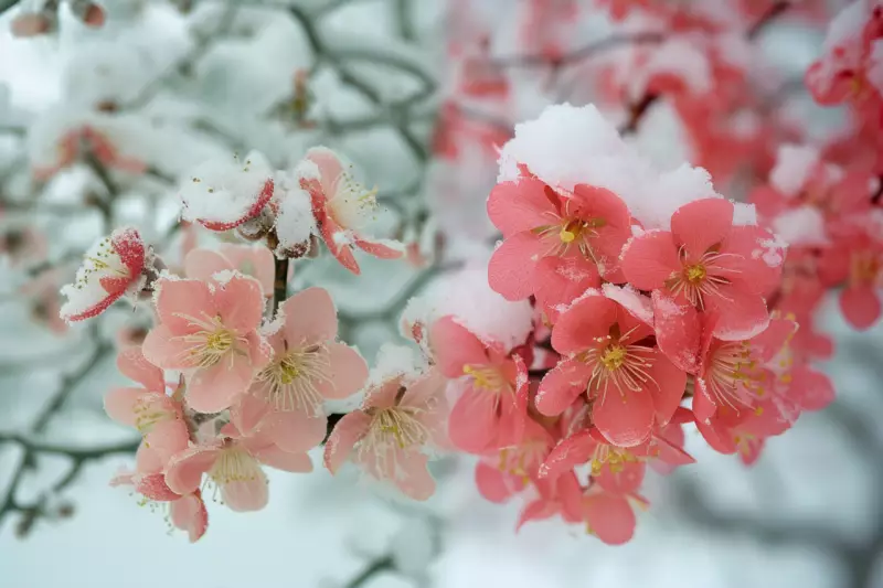 На юге будет лето: погода в Казахстане на ближайшие дни