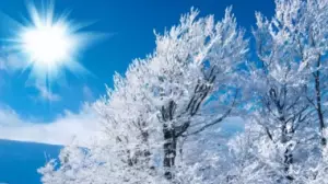 Ақпан атауы қайдан шыққан? Бұл ай несімен ерекше?