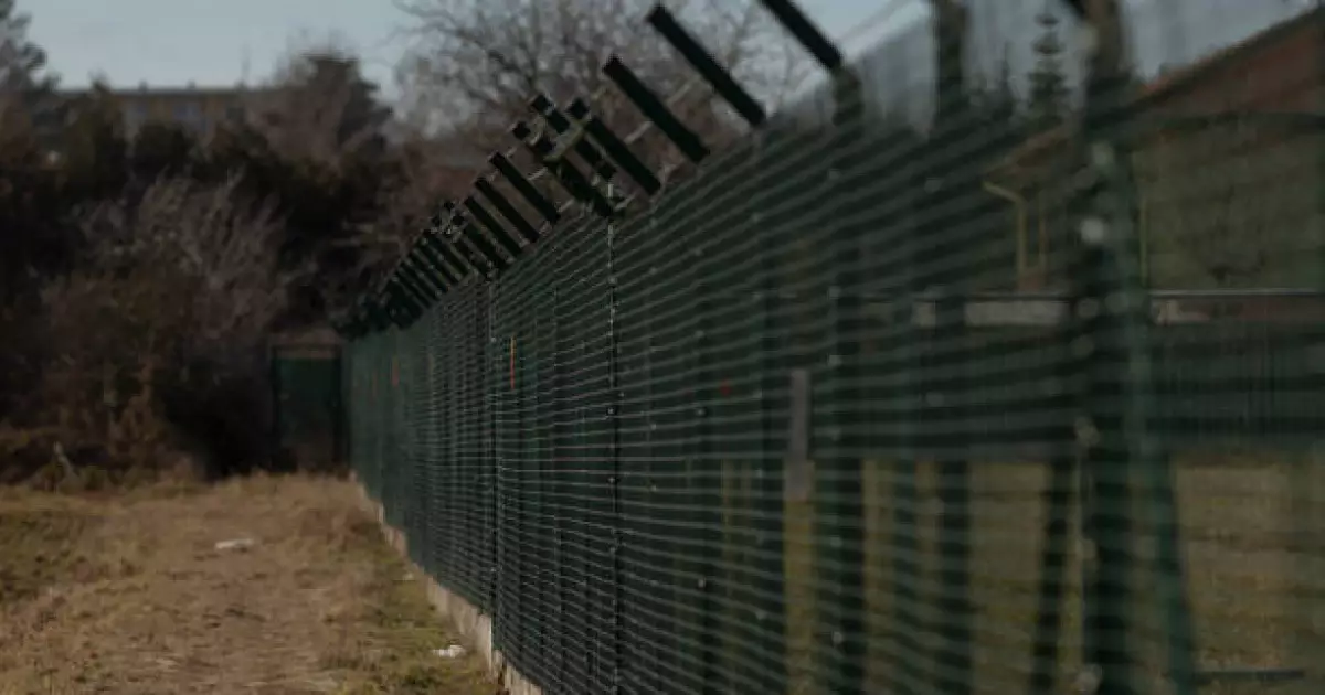   «Жағын темірмен ұрып сындырған»: Жамбыл облысында әскерге барған сарбазды соққыға жықты   