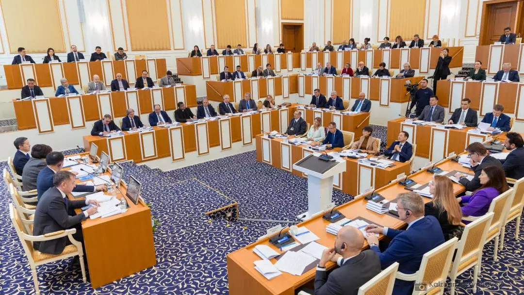 Халықаралық қауымдастық конституциялық реформаның ашықтығын бағалады