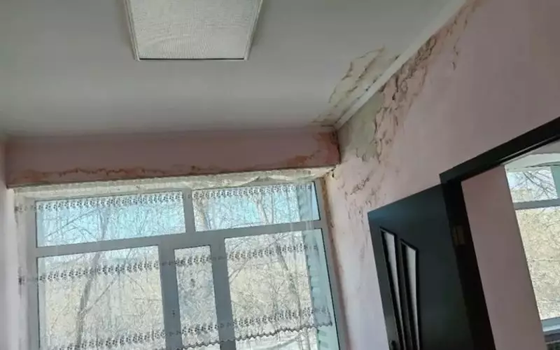 Разруха и плесень: родители жалуются на ужасающие условия в детской больнице Темиртау