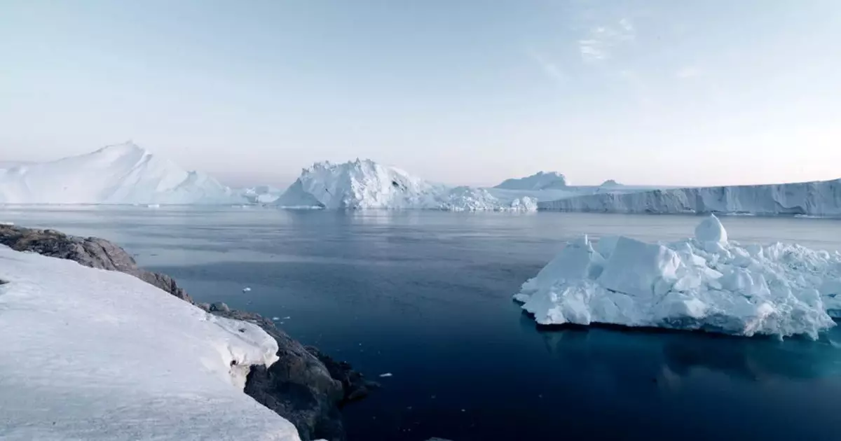  Антарктидада құстар қырылып жатыр 