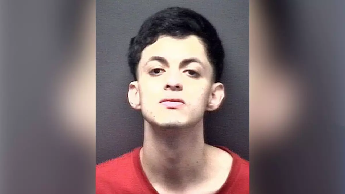 Двое нелегальных мигрантов арестованы за жестокое вторжение в дом в пригороде с изнасилованием и похищением людей.