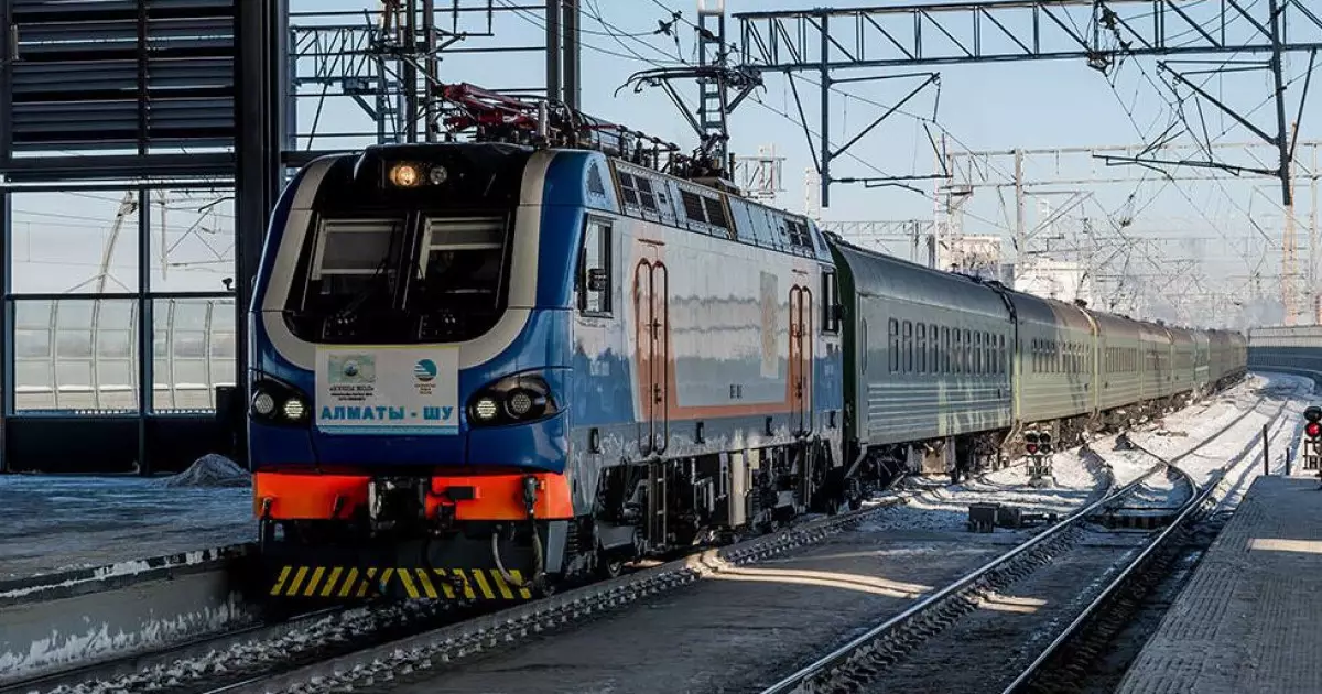   Күретамыр келешегі   