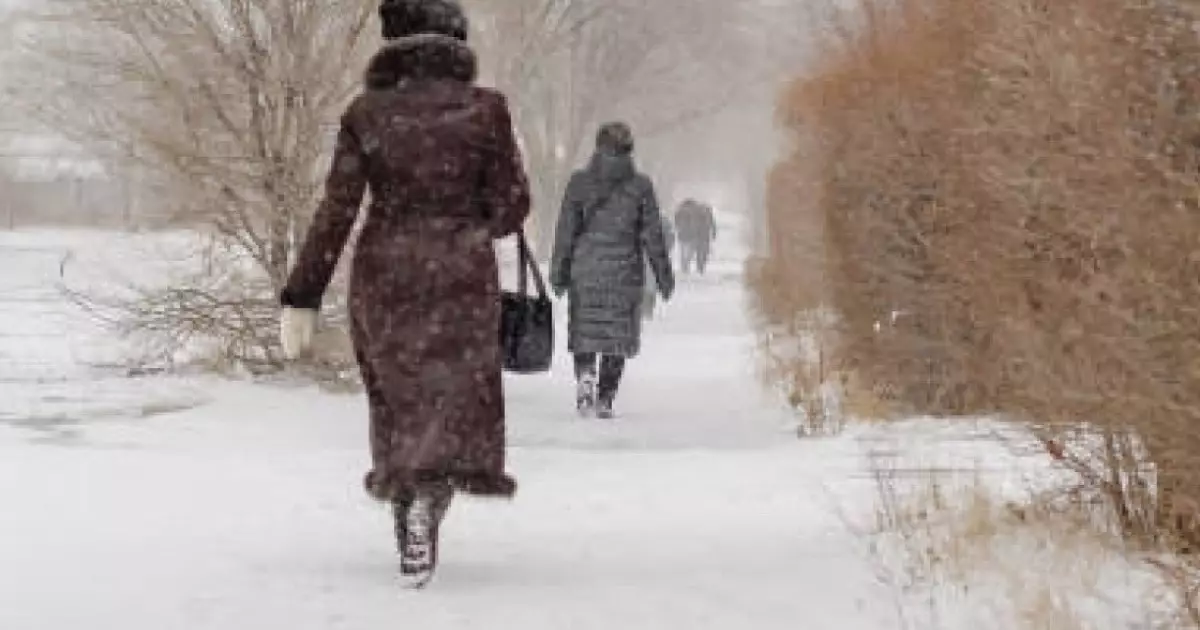  17 ақпанға арналған ауа райы болжамы 