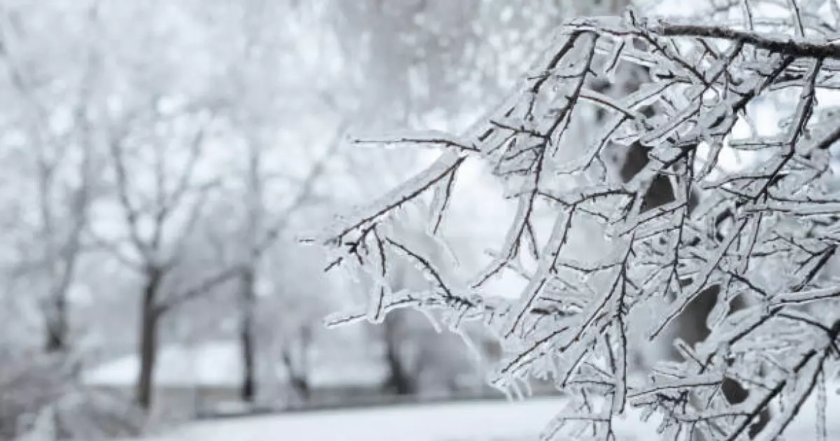  Қазгидромет ауа райына байланысты ескерту жасады 