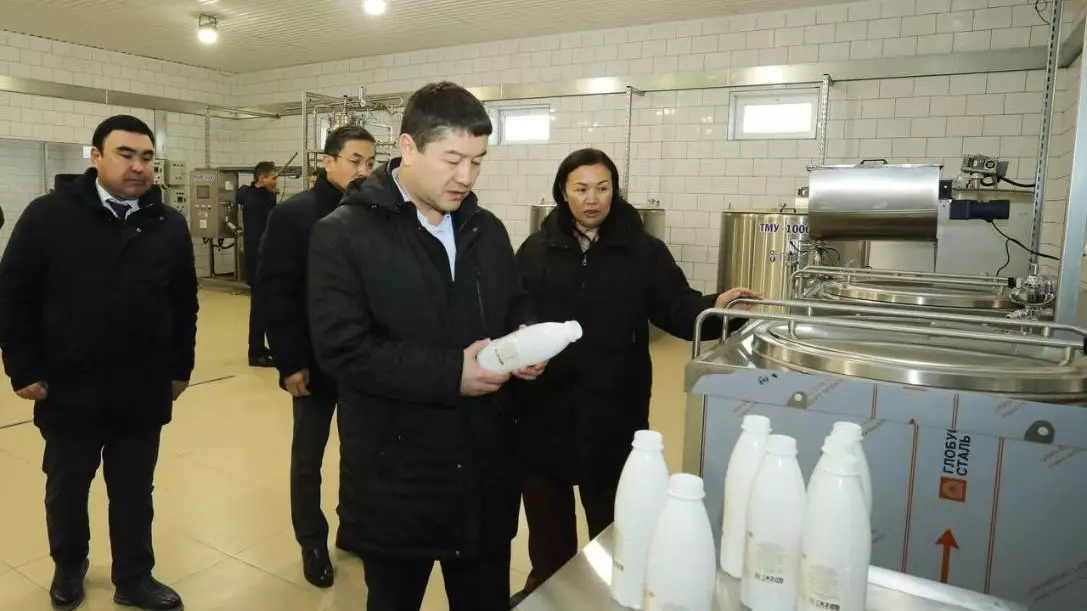 Цех по переработке верблюжьего молока запустят в Мангистауской области