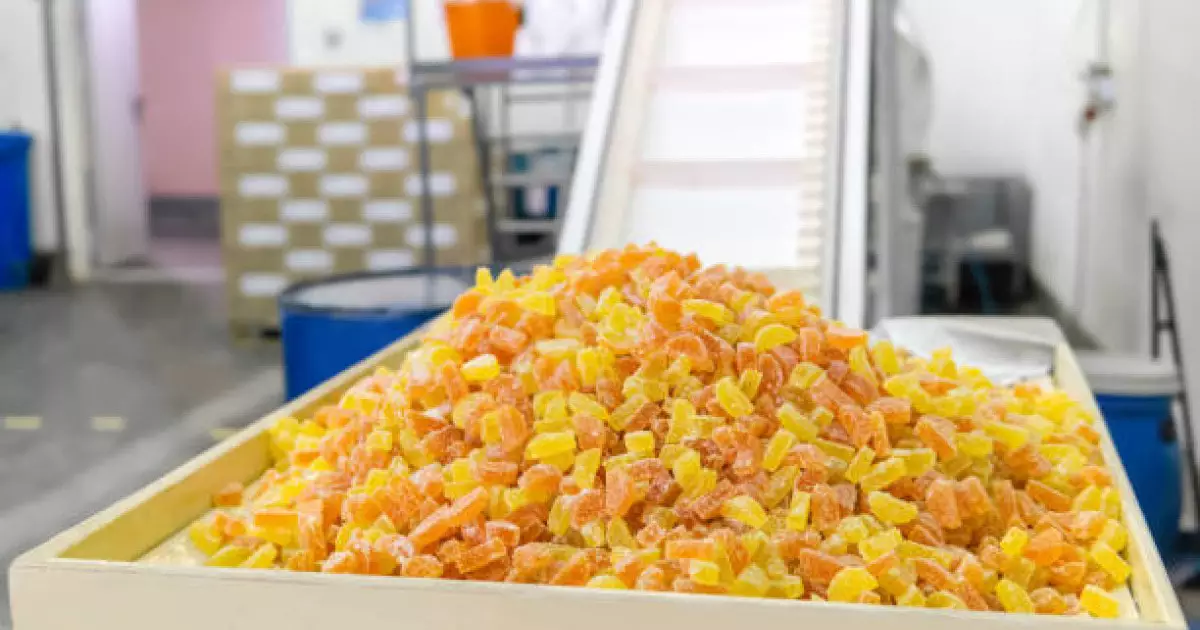  Елімізде жылына 10 мың тонна желатин өндіретін зауыт салынады 