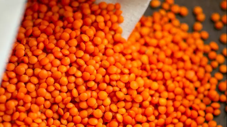 Казахстан занял 6-е место в мире по экспорту чечевицы