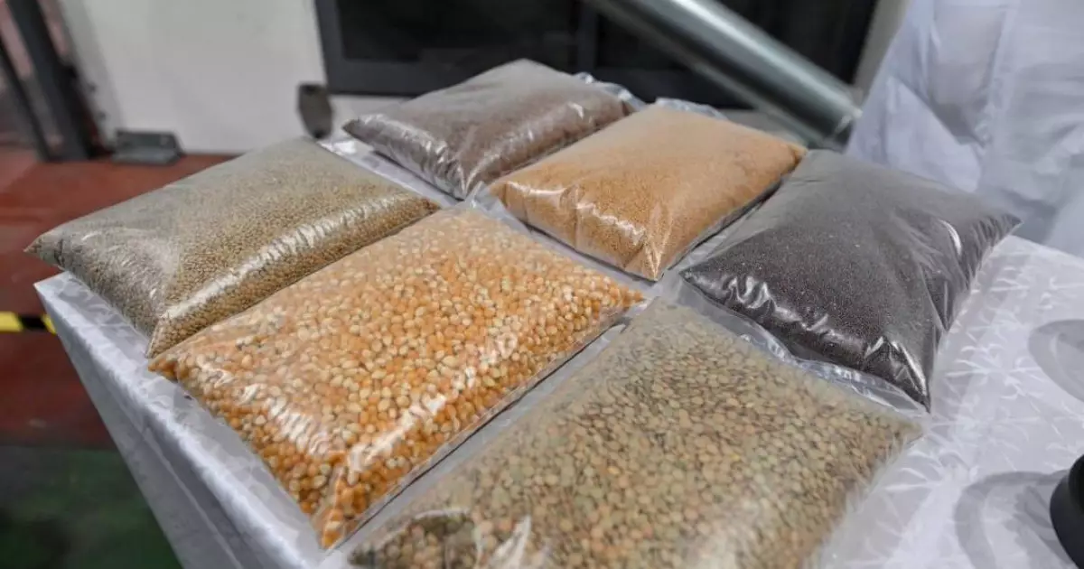  Семейде бұршақ және майлы дақылдарды өңдейтін зауыт іске қосылды 